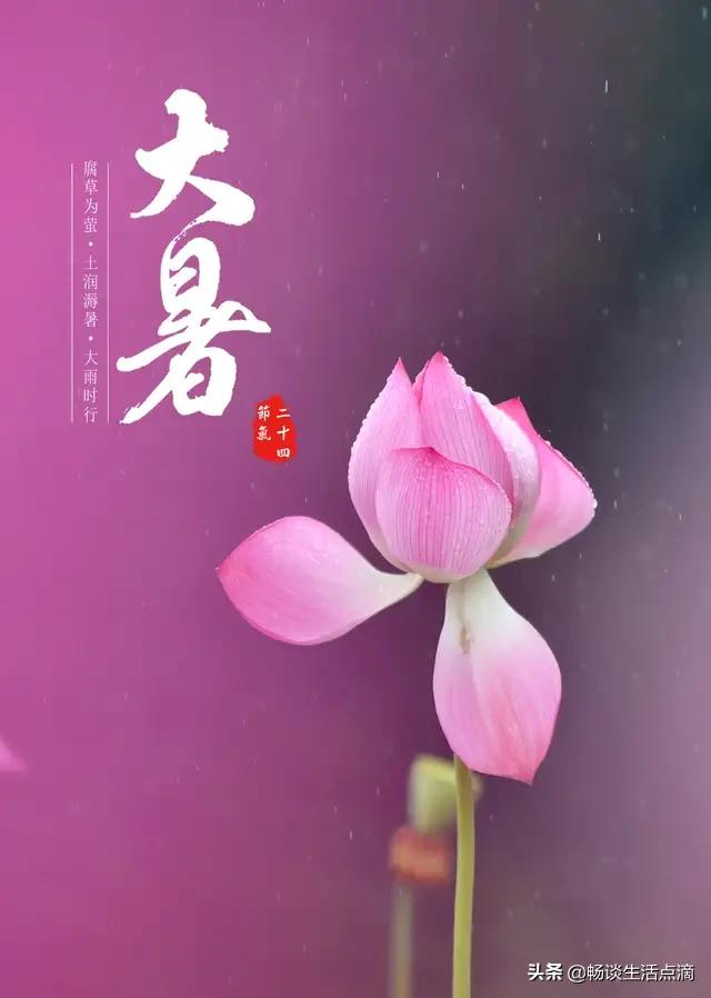 大暑的谚语对应的习俗,大暑将至节气俗语