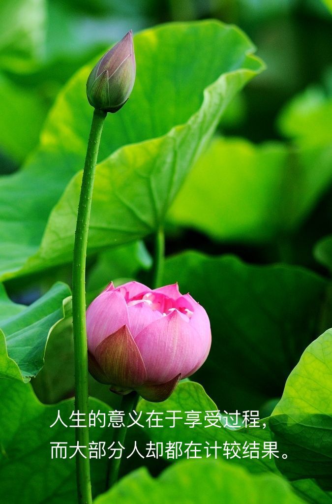 心中的神明,心中的神明作文