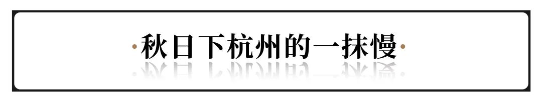 秋天值得打卡的地方,秋天最值得去的十个景点