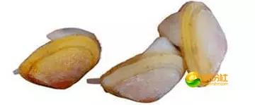 舟山4月份海鲜攻略,舟山海鲜代加工攻略