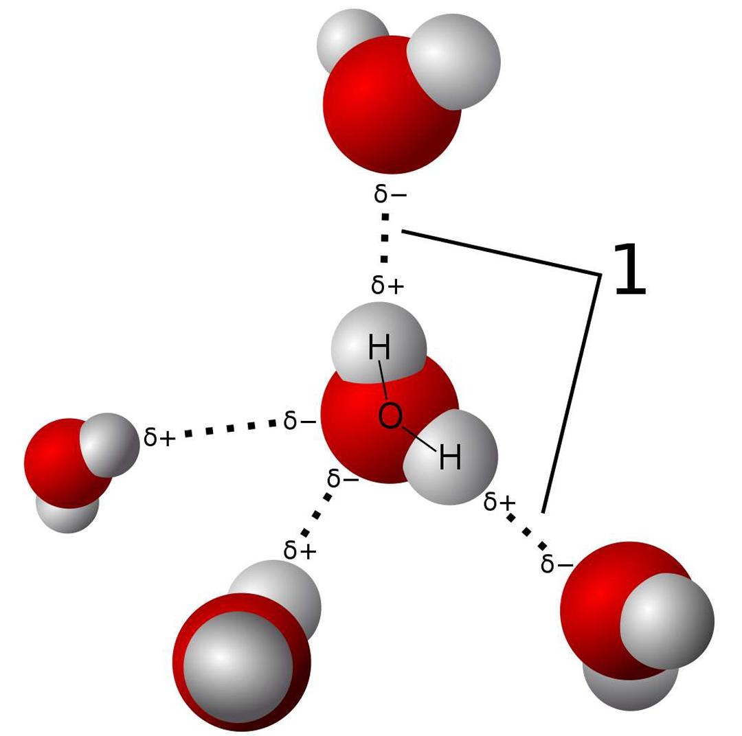 科学家发现水是有记忆的,科学探索水的秘密