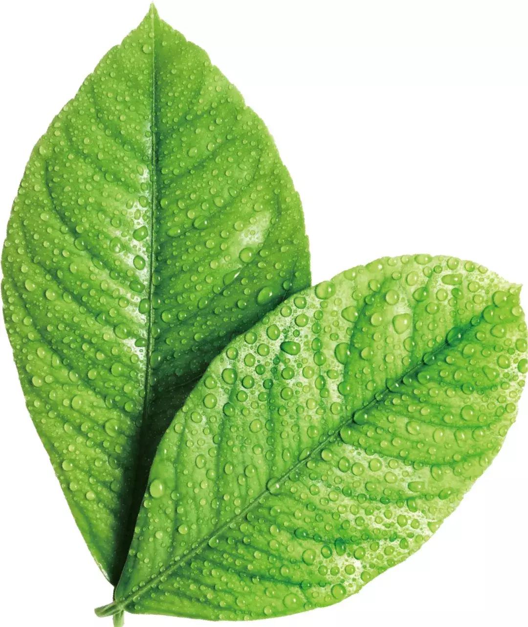 襄阳新建医院最新消息,襄阳新建第一医院位置