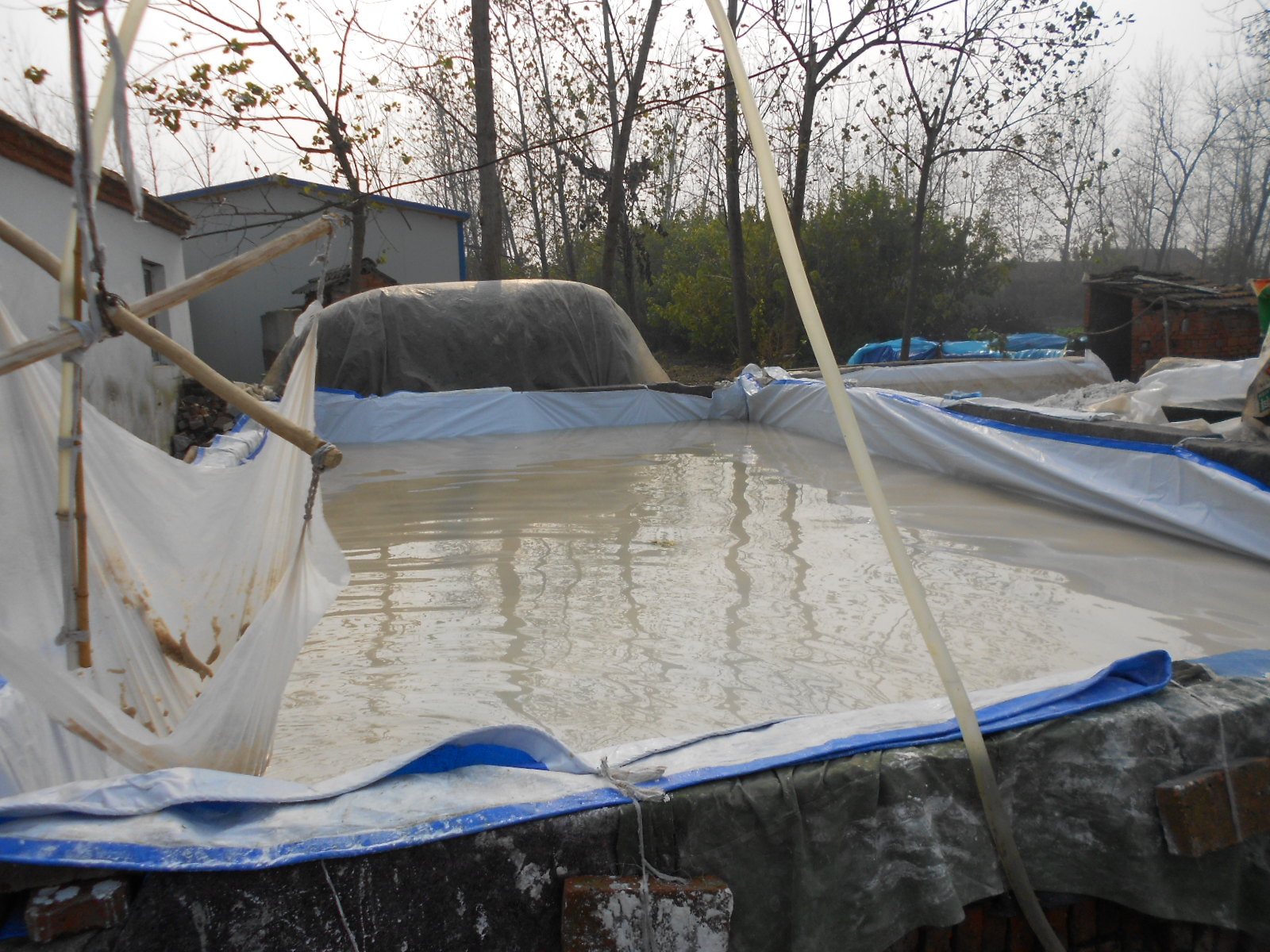 董湖粉丝美味+风味+农业历史，让你开足美食模式