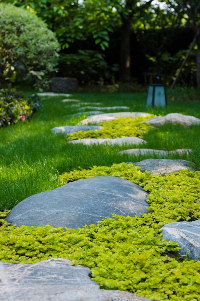 西溪里禅意庭院效果图,西溪湿地新荣记会所