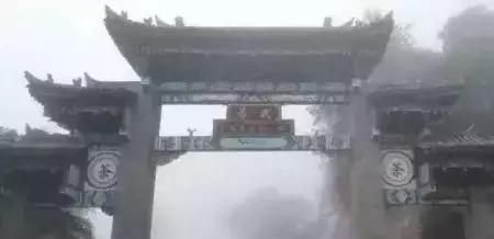 普洱茶2018年,2018普洱茶品质