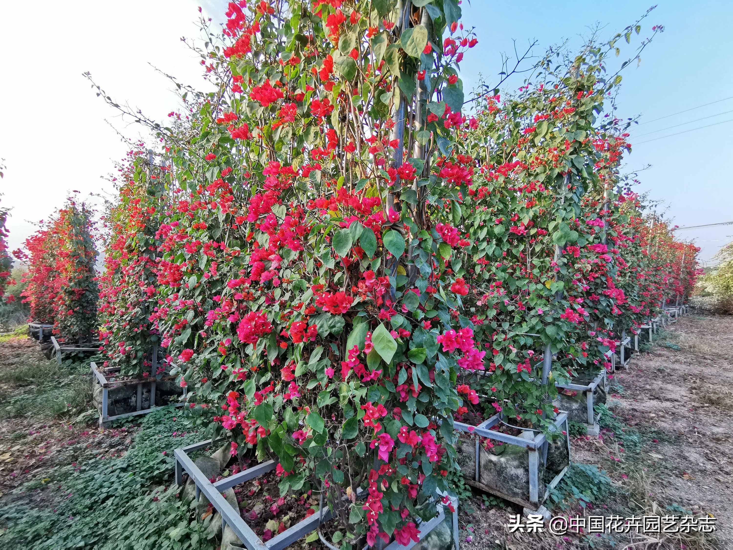 为两大产业率先突破注入鲜活动力,为经济发展注入新动力新活力