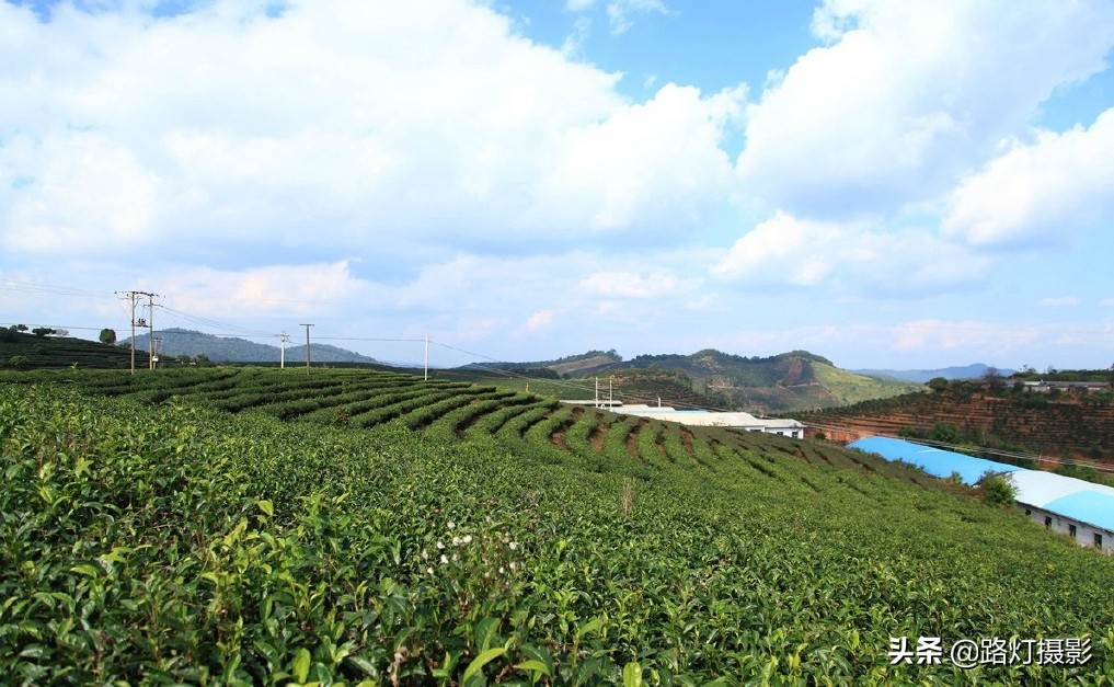 冬天云南哪里最适合居住,云南哪个城市冬暖夏凉适合养老