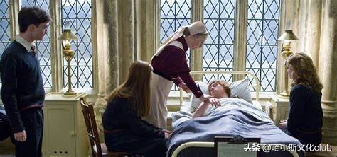 哈利波特中的巫师都能活很久吗,哈利波特最强巫师是什么水平