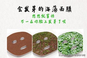 美白祛痘海藻面膜正确使用方法,海藻面膜怎么美白效果最好