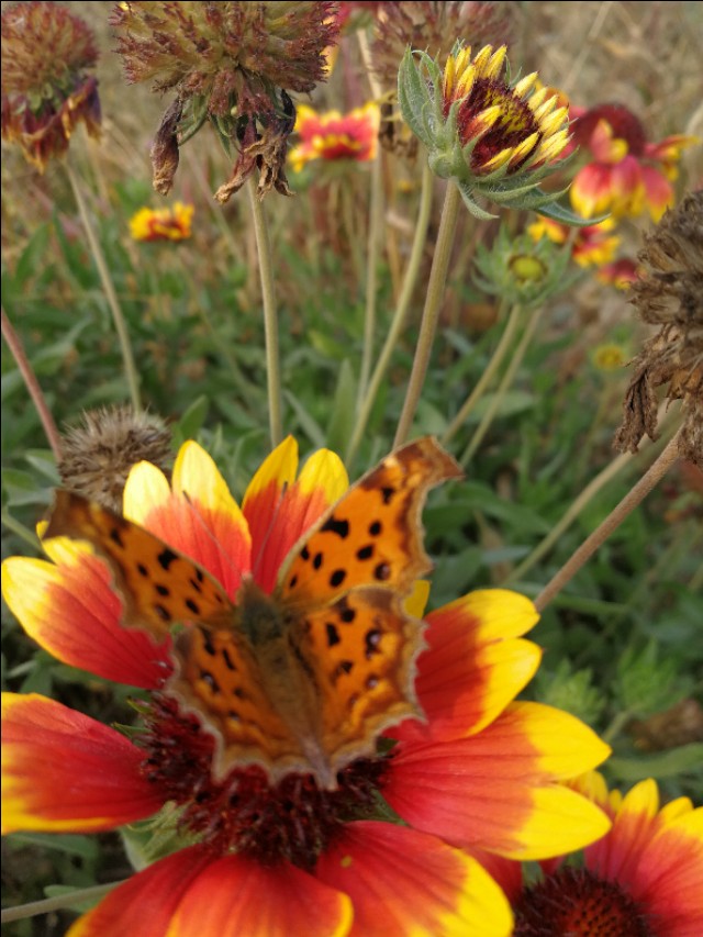 散文冬天的湖,冬天散文朗诵