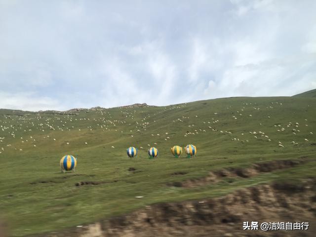 青海湖大环线7天自驾游攻略,6月青海大环线旅游攻略