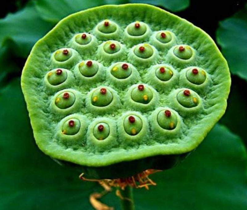 高僧说：人在红尘，这三件事看破别说破，才是真正地解脱，我懂了