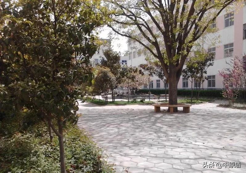 河南农业职业学院计划招生6400人，采用平行志愿录取！