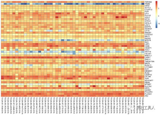 生信分析热图原理,生信分析热图的作用