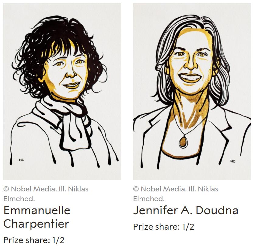 锋芒尽显,CRISPR基因编辑人类试验,治愈两种遗传性贫血症