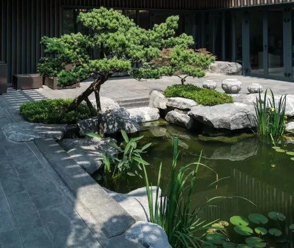 庭院辟邪的十种植物,庭院墙头守护神