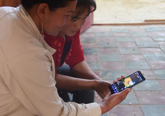 牛也要出圈（quān）？这个电信高定耳饰不简单