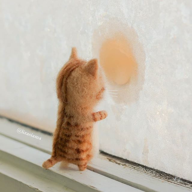 给猫猫做了一个羊毛毡,女生用羊毛毡自制仿真猫咪