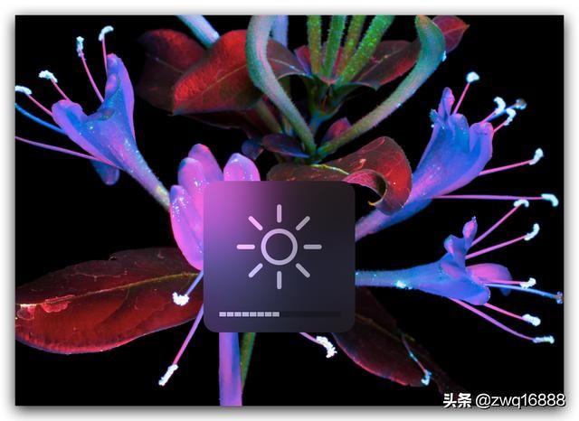 联想小新pro13装黑苹果教程,联想小新air13pro怎么装黑苹果