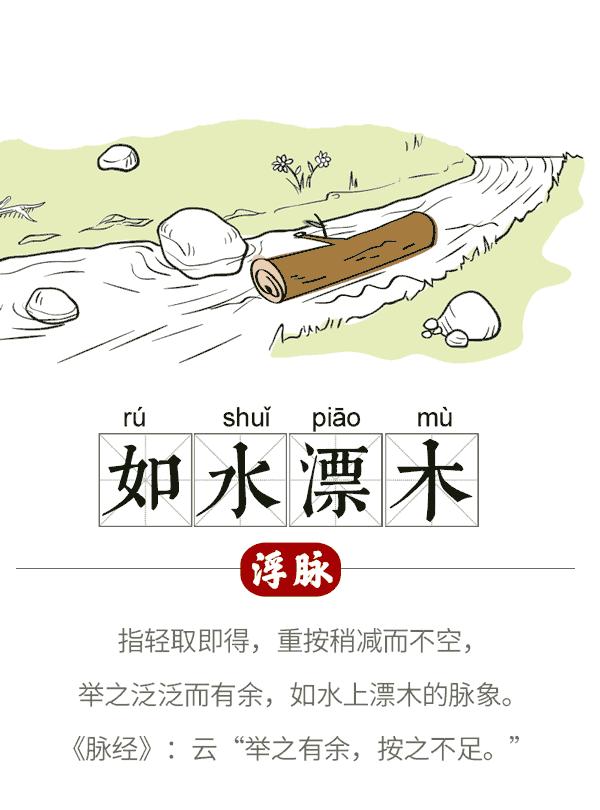 中医把脉的原理是什么动画,中医如何把脉看病图解