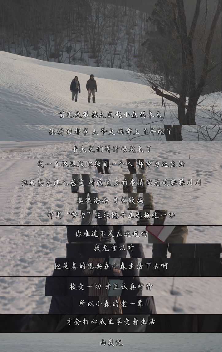 美食电影小森林,美食治愈日剧小森林