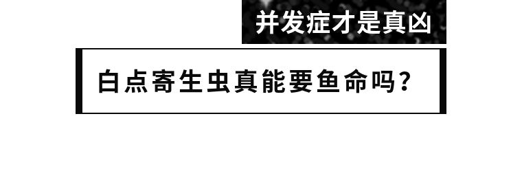 如何拯救海洋,该怎么拯救大海