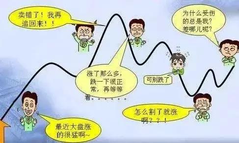 股市不相信眼泪完整版,股市不相信眼泪