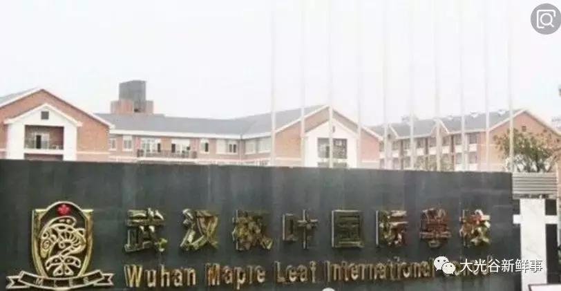 武汉江夏新建的学校,武汉新的贵族学校