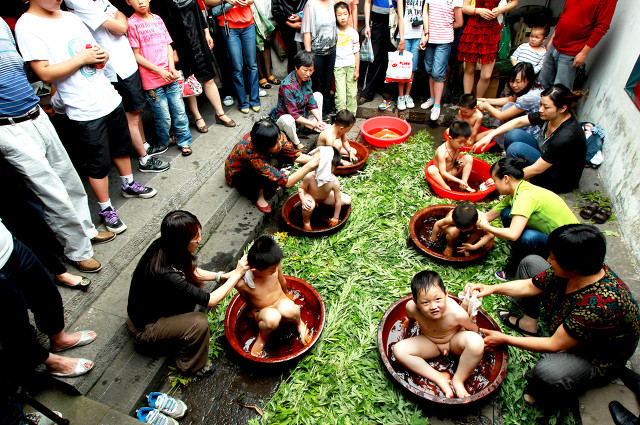 艾草是中草药中的仙草,艾草仙草