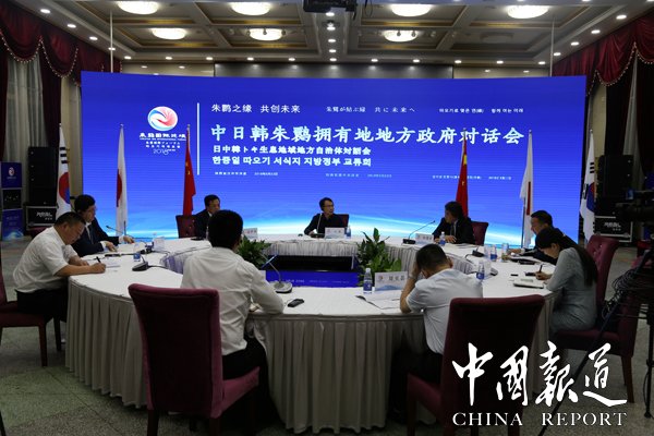 国宝朱鹮进入繁育季,国宝朱鹮