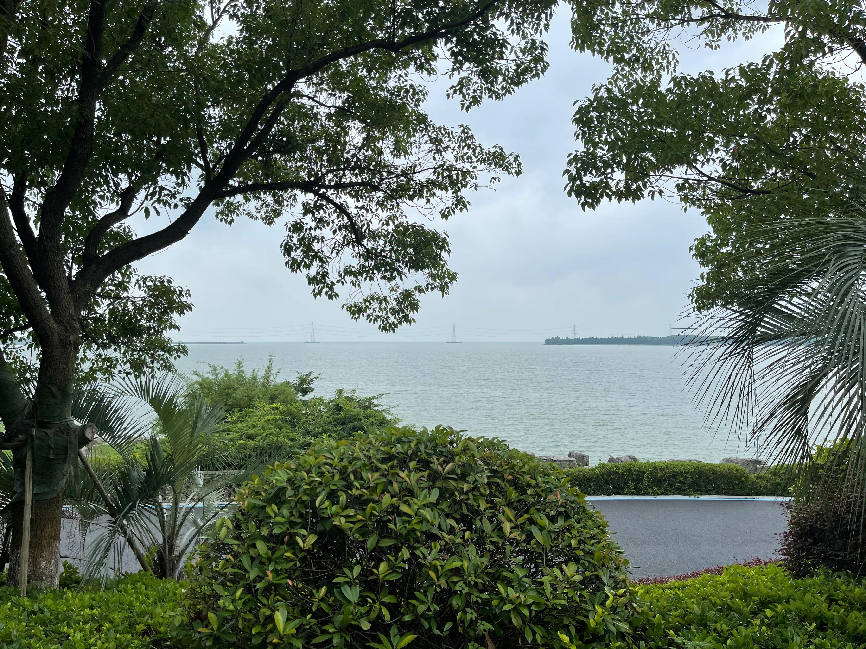 鑻忓窞涓滃お婀栧ぇ閰掑簵闄勮繎,鑻忓窞涓滃お婀栧ぇ閰掑簵鎺掑悕