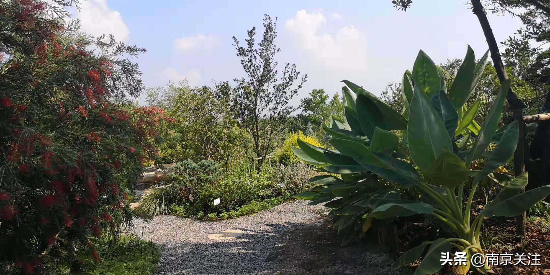 南京五一必打卡花海推荐,南京秋季网红打卡景点