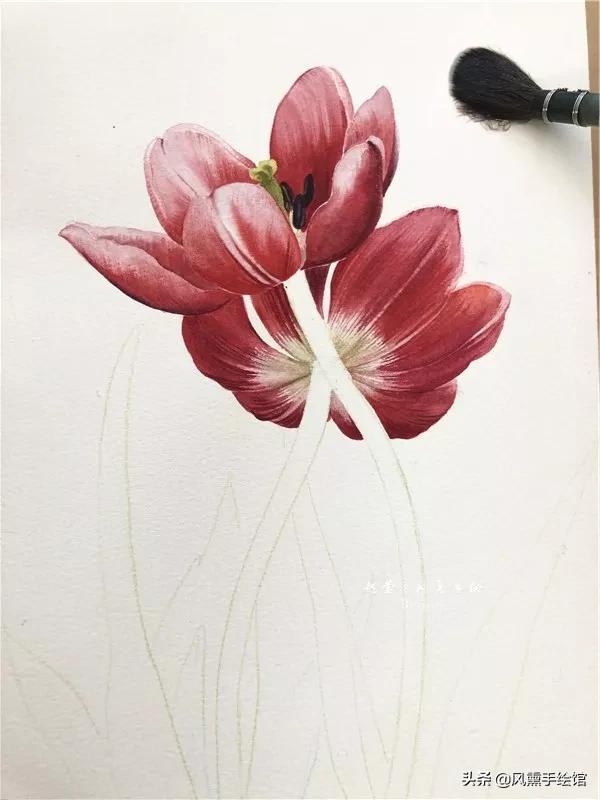 怎么用水彩笔画郁金香教程,粉色水彩郁金香怎么画图片