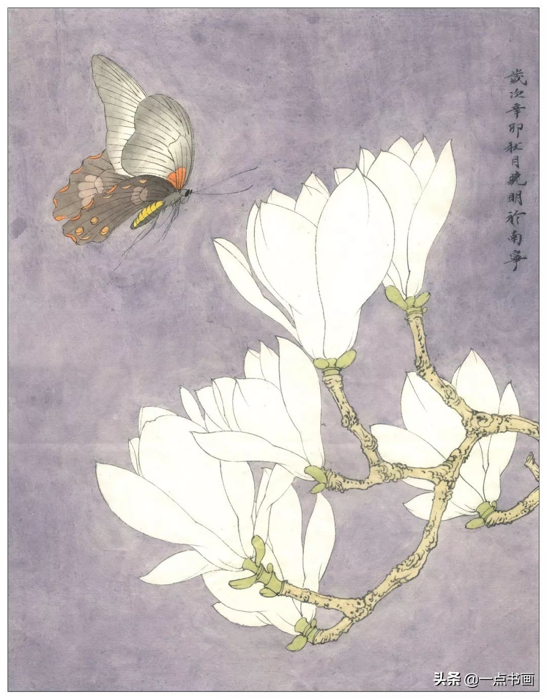 玉兰蝴蝶工笔绘制示范,玉兰蝴蝶工笔画上色步骤