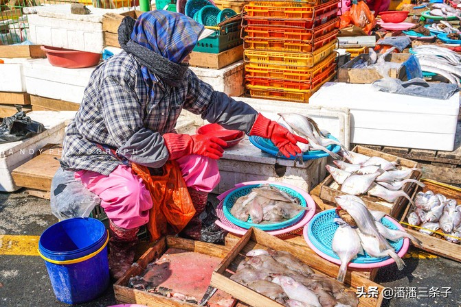 韩国有什么值得买的吃的,除了买买买还有什么活动