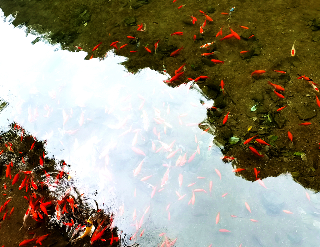 天生三桥和印象武隆怎么玩,重庆武隆天生三桥春夏秋冬景象