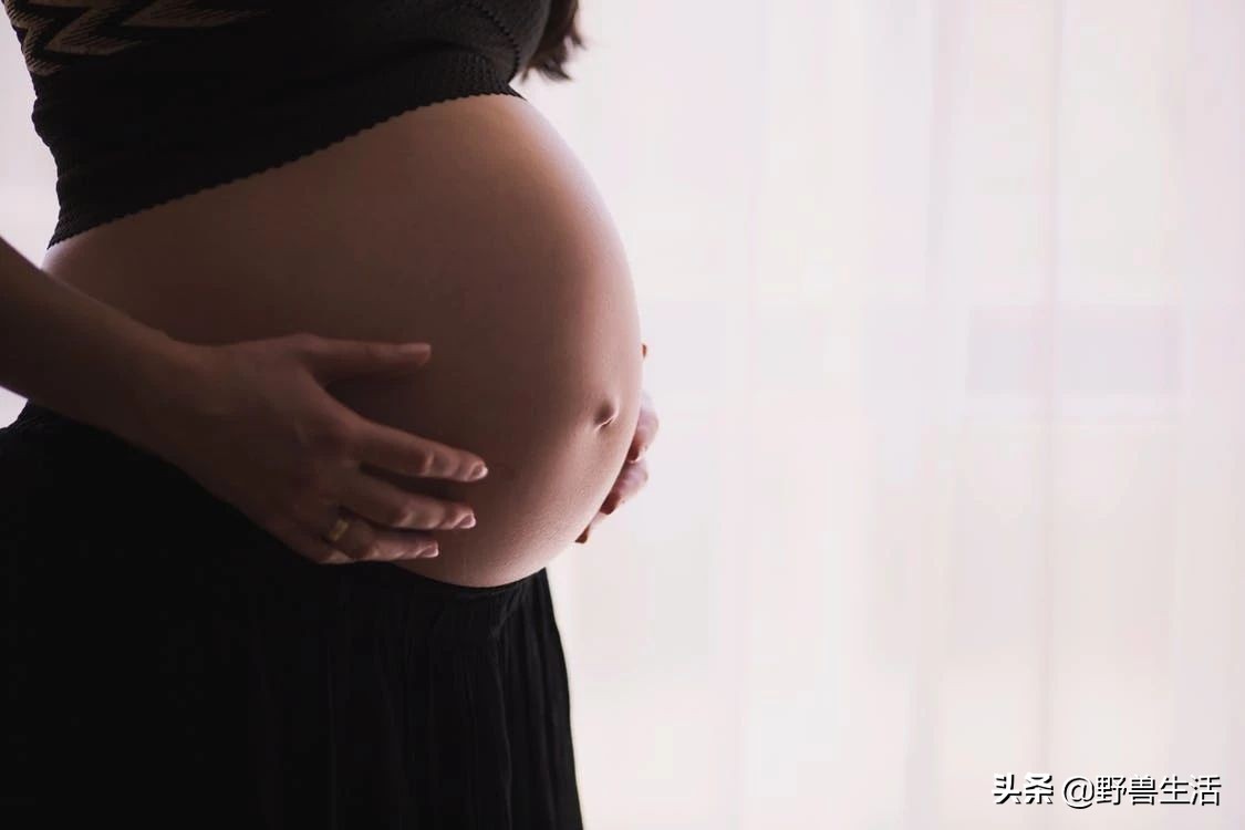 研究表明喝咖啡的好处,研究表明喝咖啡最好时间段