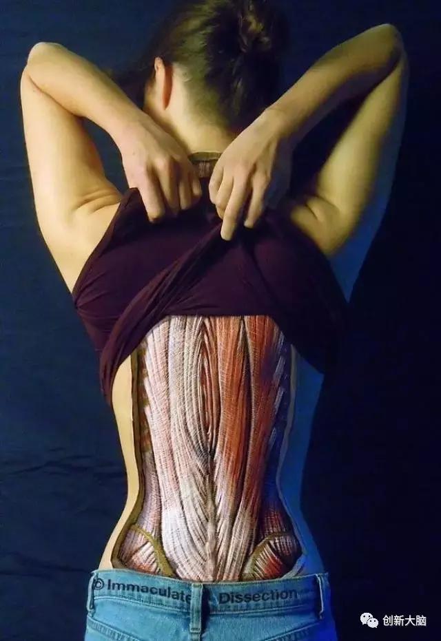 人体解剖创意图画介绍,人体解剖图创意画简介