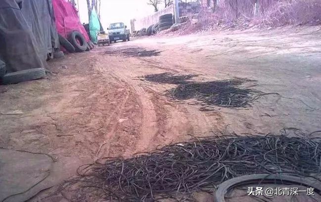 回收旧的轮胎多少钱,废旧轮胎回收5元一条贵了吗