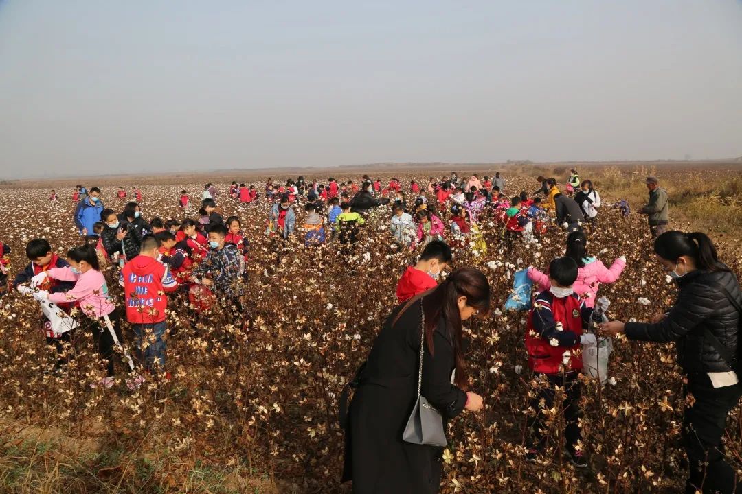 和孩子一起参加学校劳动的发言稿,和孩子们去村里上一堂劳动实践课