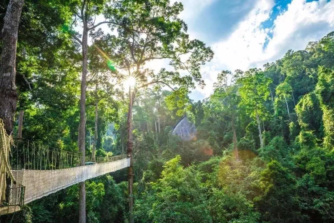 来西双版纳必去的10个地方,来西双版纳必玩的地方