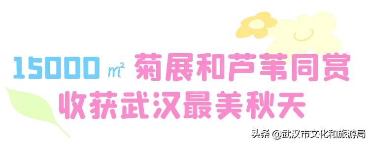 武汉秋天的第一场音乐节,武汉秋天第一场音乐节