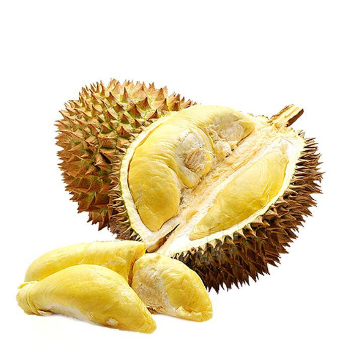 榴莲采摘过程真的很危险吗,榴莲虽贵但吃不惯