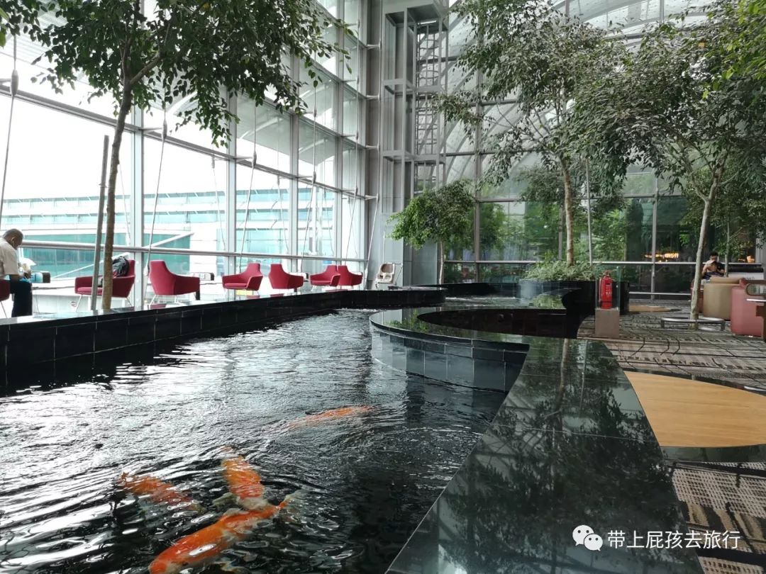 无旅行不暑假亲子游胜地新加坡,新加坡马来西亚亲子游春节