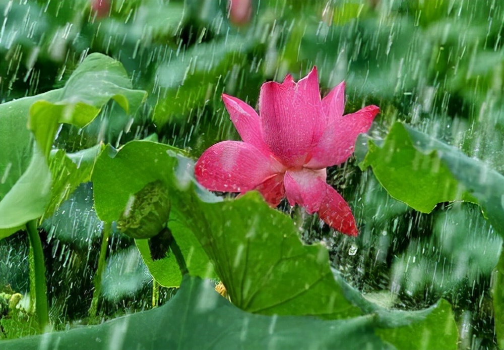 睡前一个小故事有声阅读,睡前一个小故事悬疑