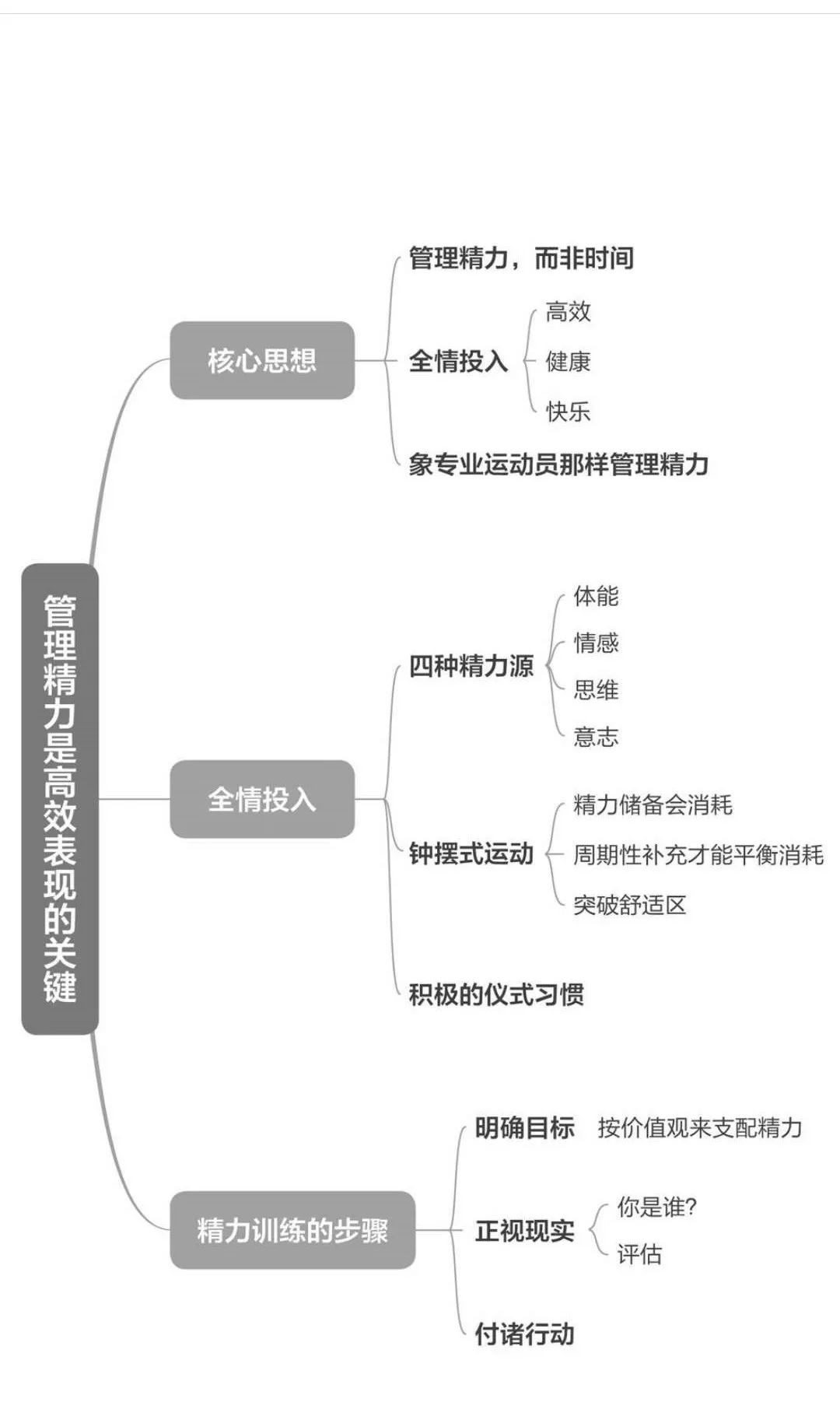 《精力管理》心得感悟,精力管理读后感