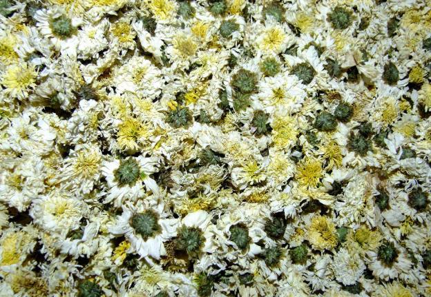 中草药各种花科普,花类的中草药有哪些