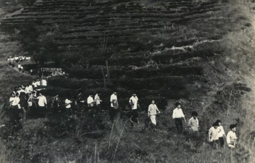 十月21-24日相约“岭南古邑”英德