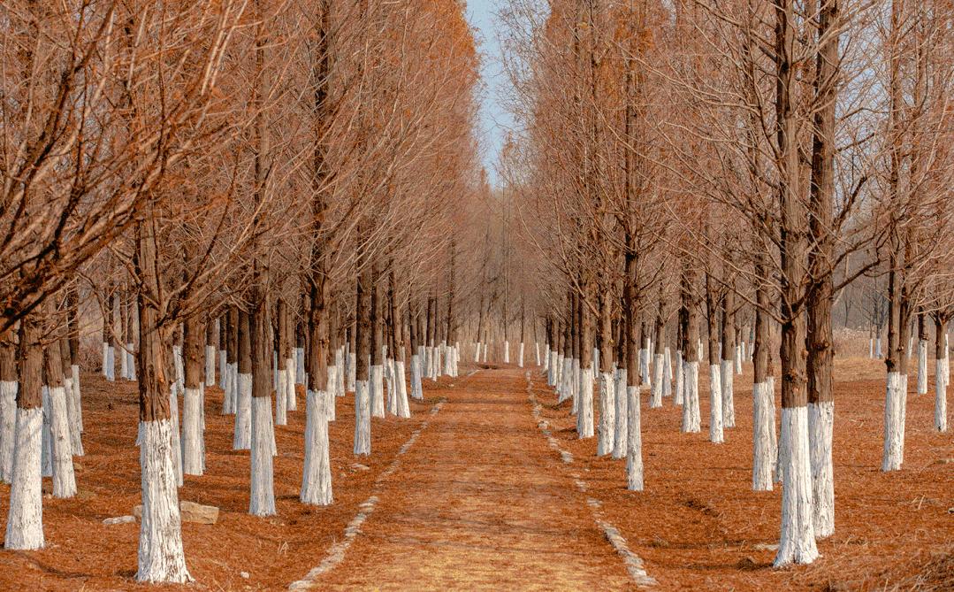 莱芜雪野湖公园视频,莱芜雪野湖旅游区