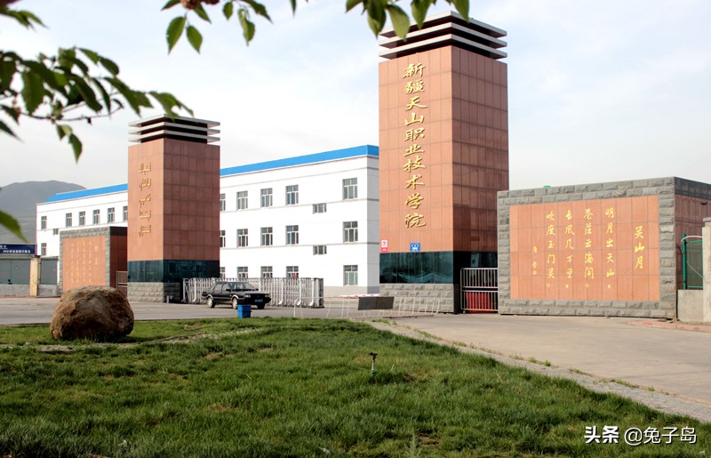 疆内大专职业学校名单,疆内最好的大专学校排名